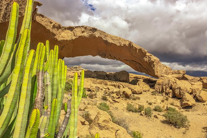 Tenerife South Private Tour: Secrets Of The Volcanoes Volcanic Landscape Exploration