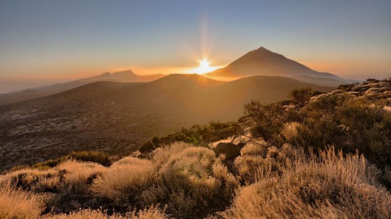 Tenerife: Teide National Park And Dolphins Sailboat Tour Tour Duration And Pickup