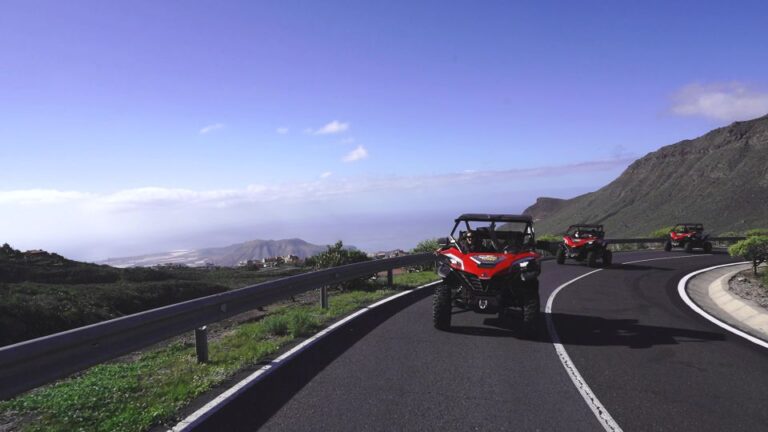 Tenerife: Teide National Park Guided Buggy Tour Tour Description