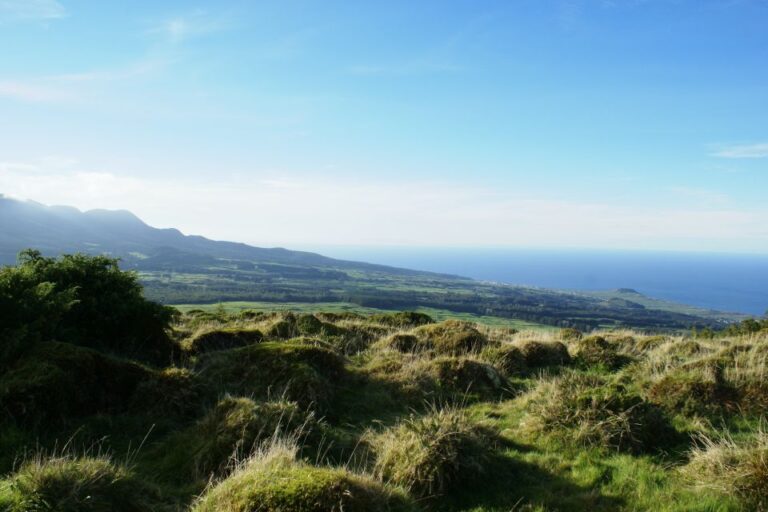 Terceira Island: 4x4 Land Rover Tour With Traditional Lunch Tour Overview