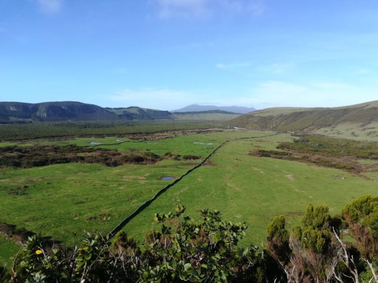 Terceira: Island Trails Scenic Hiking Tour With Transfer Tour Overview And Pricing