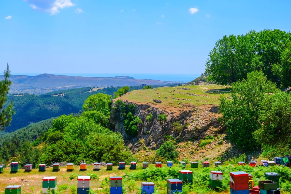 Thasos Island: Private Jeep Tour - Tour Overview