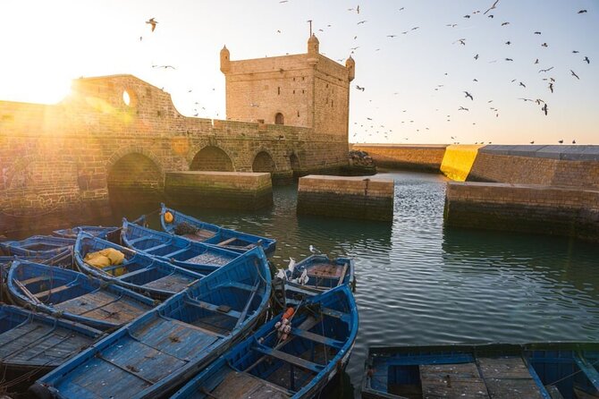 The Best Essaouira Day Trip From Marrakech - Overview of the Essaouira Day Trip