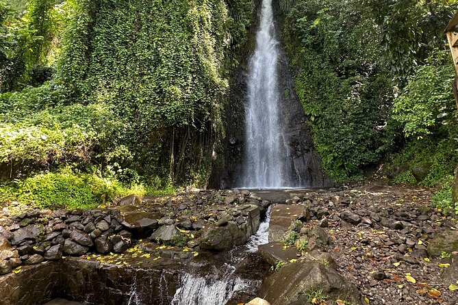 The Cascading Dark View Falls and Beach Experience With Topdawg Taxi and Tours - Explore the Local Flora and Fauna