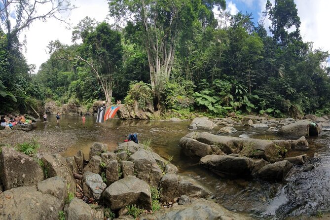 The El Yunque National Forest And Luquillo Beach Tour Overview Of The Tour