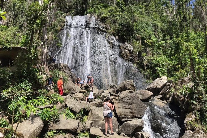 The El Yunque Rainforest Hiking Tour From San Juan Tour Overview