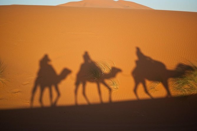 The Private 2 Days Desert Tour Fez To Merzouga Tour Overview