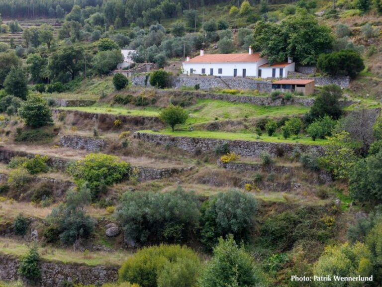 The Western Wild Algarve With A Luxury Picnic And Extra Wow The Breathtaking Coastline