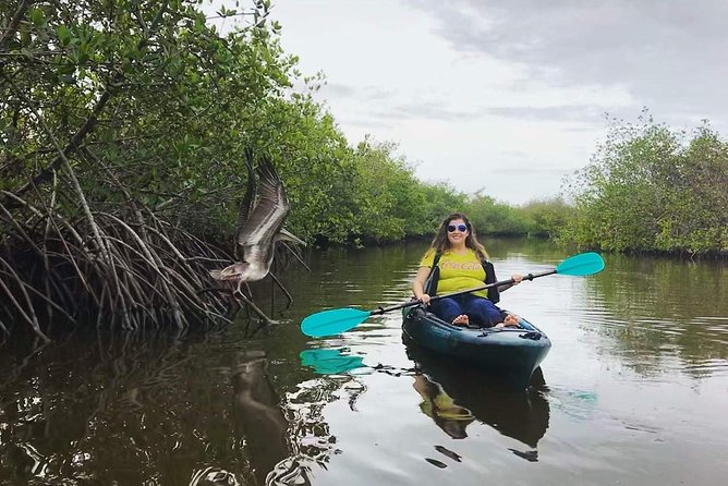 Thousand Island Mangrove Tunnel, Manatee & Dolphin Kayak Tour W/cocoa Kayaking Tour Details