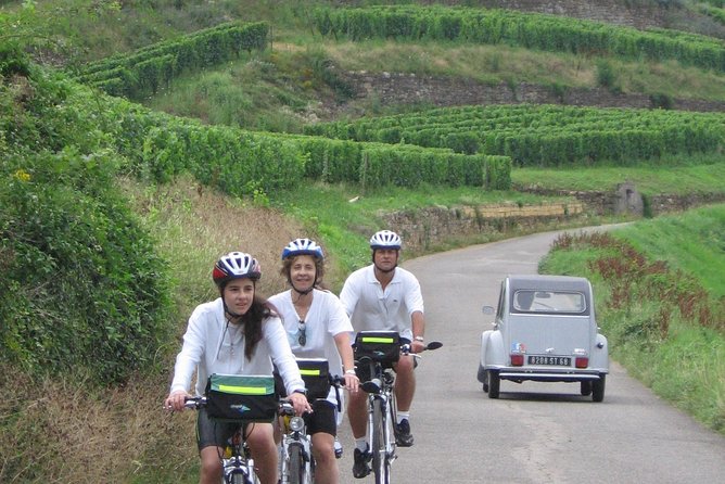 Through Alsace Vineyards and Wine Villages Private Bike Tour - Overview of the Tour