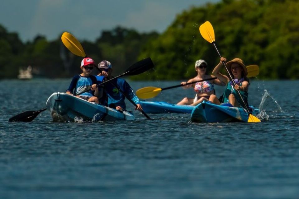 Tierra Verde: Kayak Tour at Shell Key With Capt Yak - Tour Overview