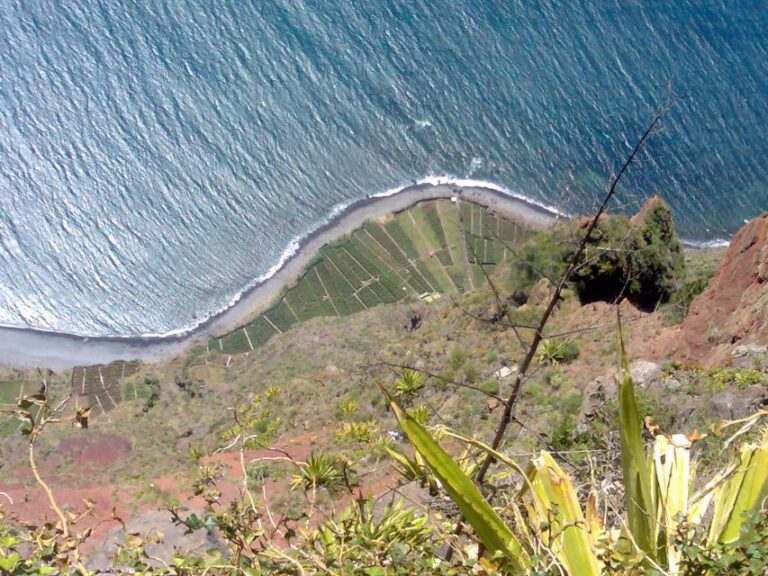 Toboggan Ride & Madeira Wine Tasting Tour Tour Details