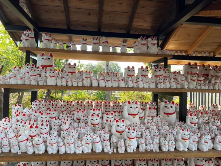 Tokyo Gotokuji Unique Temple Walking Tour For Cat Lovers. Tour Overview