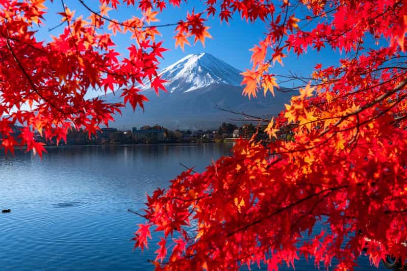 Tokyo: Mt. Fuji Festival, Ropeway, & Fruit Picking Day Trip - Cancellation Policy