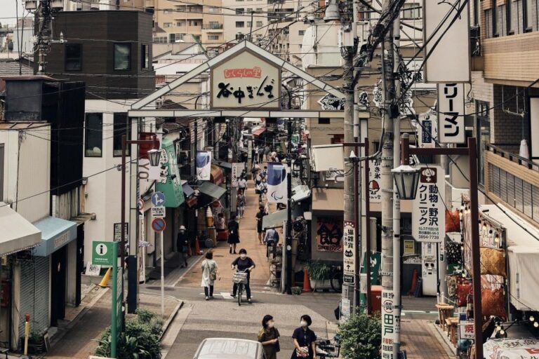 Tokyo: Old Quarter Yanaka Walking Tour Tour Overview And Pricing