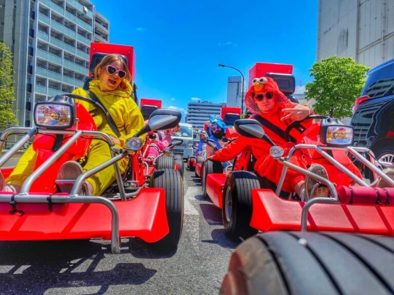 Tokyo: Original Street Kart Experience From Tokyo Bay Overview And Details