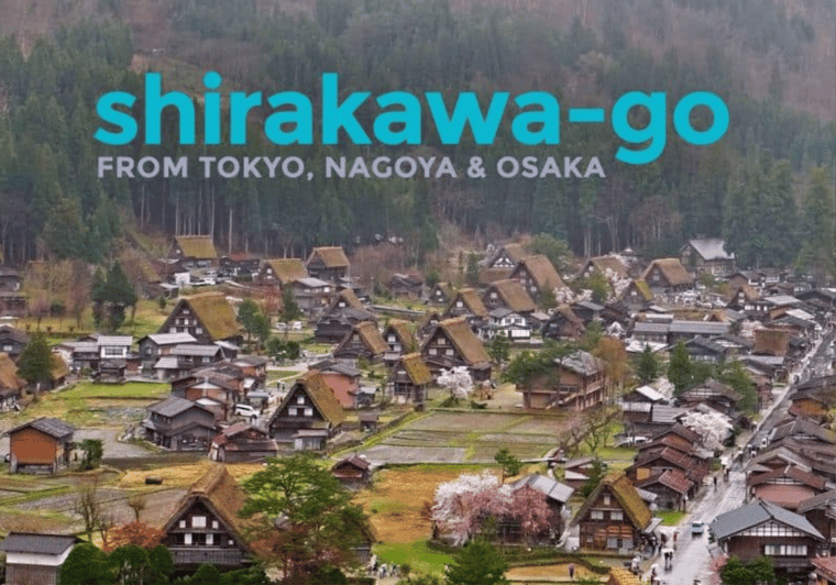 Tokyo: Private Luxury Transfer To/From Shirakawa Go (1 Way) - Vehicle and Amenities