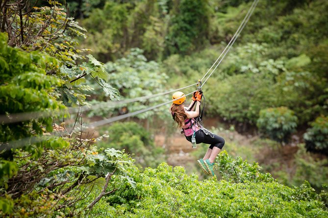 Toro Verde 7-Zipline Tour Plus the Monster With Transport - Scenic Views of Puerto Rico