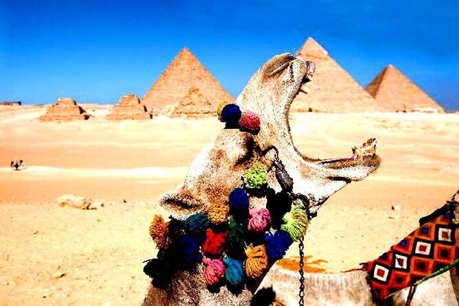 Tour Giza Pyramids, Sphinx Egyptian Museum,market,camel Ride Tour Itinerary