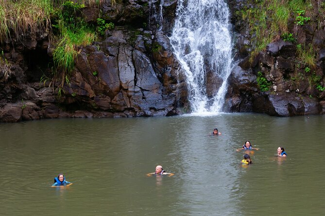 Tour Of North Shore & Waimea Waterfall Tour Overview And Highlights