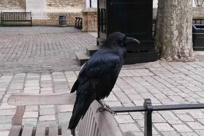 Tower of London Private Tour - Meeting Details