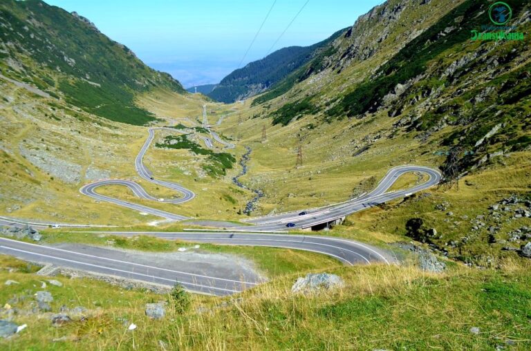 Transfagarasan Amazing Road Trip🐻 From Brasov