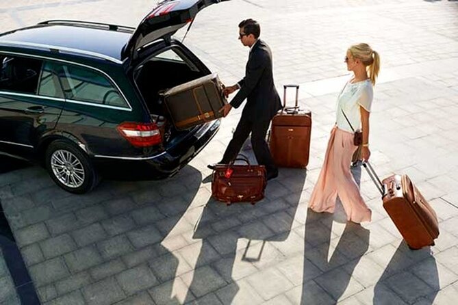 Transfer From Cairo Airport to Hotel at Cairo or Giza - Drop-off at Cairo or Giza