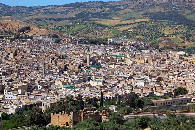 Transfer From Fez Airport to Fes Medina - Overview of Transfer Service