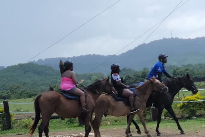 Transportation To Chukka Sandy Bay Adventure Pickup Location Options