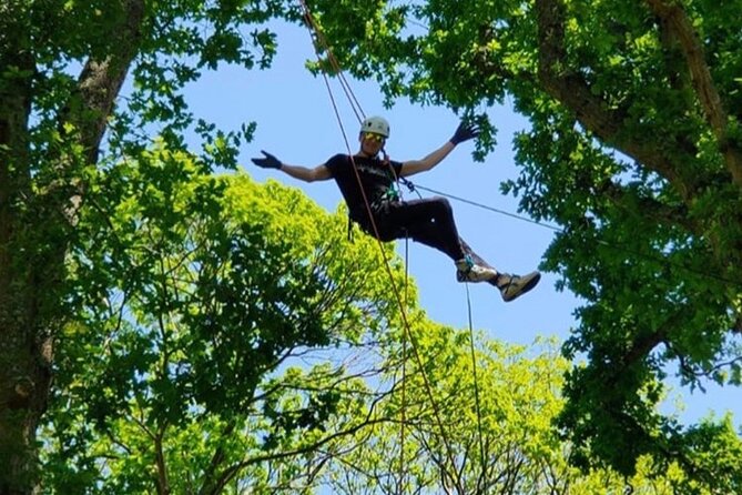 Tree Climbing Taster Session - Experience Overview