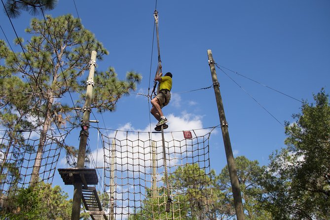 Treeumph Adventure Course Overview And Experience