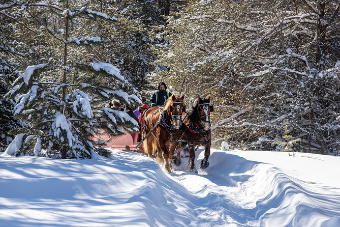 Tremblant Sleighride Overview Of The Experience