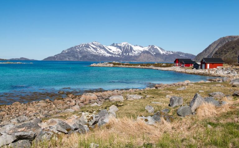 Tromsø: Arctic Landscapes Sightseeing With Citizen Science Tour Overview