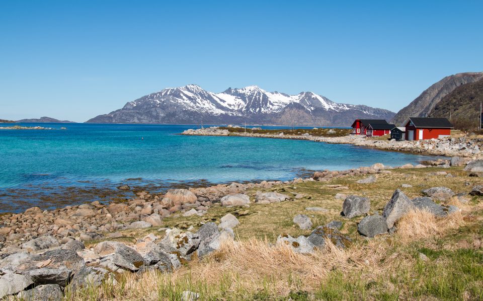 Tromsø: Arctic Landscapes Sightseeing With Citizen Science - Tour Overview