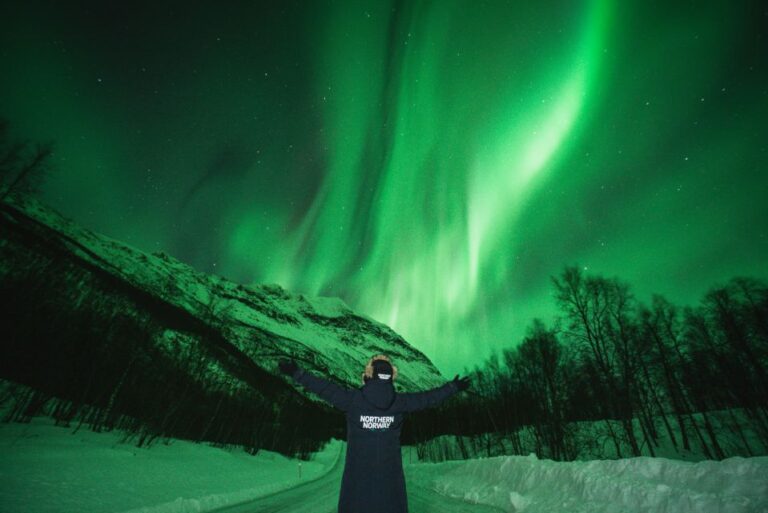 Tromsø: Aurora Borealis Chase With Guide, Meals & Campfire Overview Of The Tour