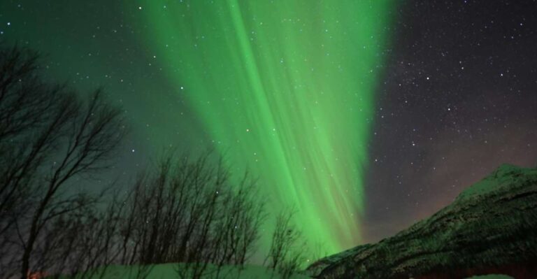 Tromsø: Guided Tours To See The Northern Lights: Tour Details