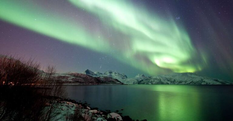 Tromsø: Northern Lights Chase With 2nd Chance Guarantee Overview Of The Northern Lights Cruise