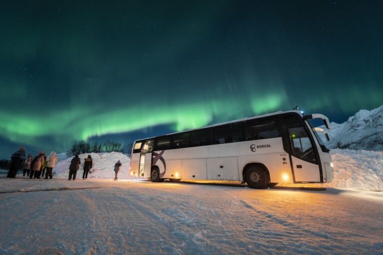 Tromsø: Northern Lights Guided Bus Tour Tour Details