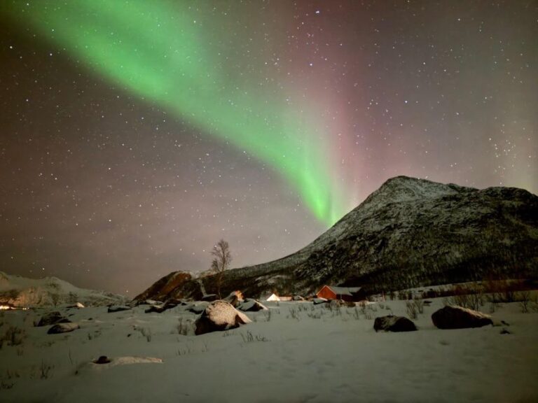 Tromsø: Northern Lights Tour With Hot Food And Drinks Activity Overview