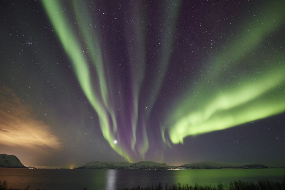 Tromsø: Private 6-Hour Aurora Chase by Minivan - Northern Lights Experience