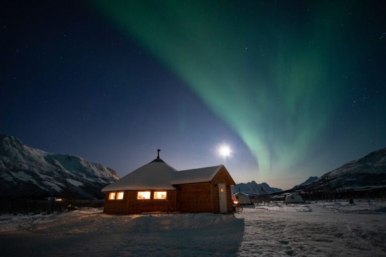 Tromsø: Reindeer Feeding & Chance Of Northern Lights Viewing Tour Details