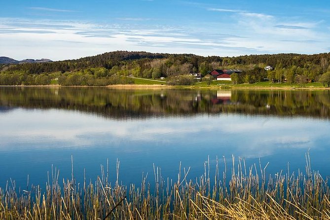 Trondheim Like A Local: Customized Private Tour Tour Overview And Details