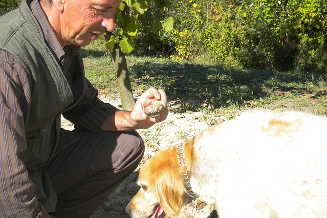 Truffle Hunt & Barolo Wine Tasting Wine Tasting Selections