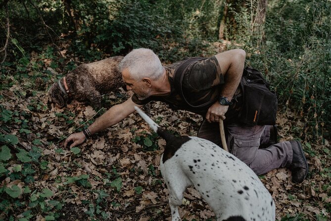 Truffle Hunting In Tuscany Exploring The Tuscan Landscape