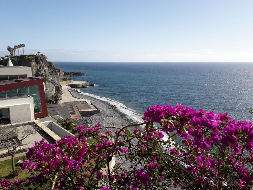 Tuk Tuk Câmara De Lobos - Madeira Island - Tour Overview