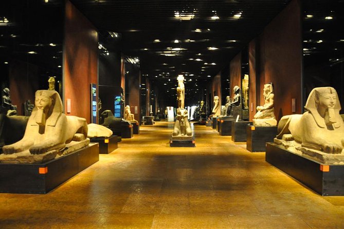 Turin Egyptian Museum Entry Ticket Including Special Exhibits - Key Highlights and Collections