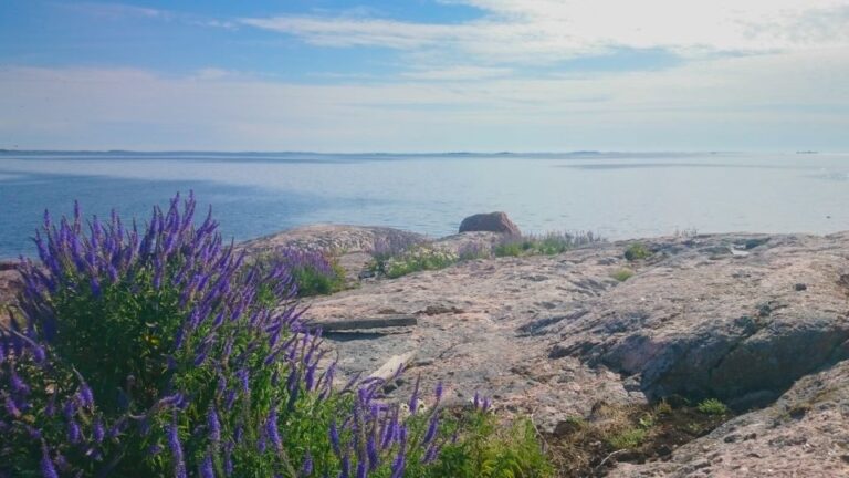 Turku Archipelago: Sea Kayaking Day Tour Exploring The Turku Archipelago