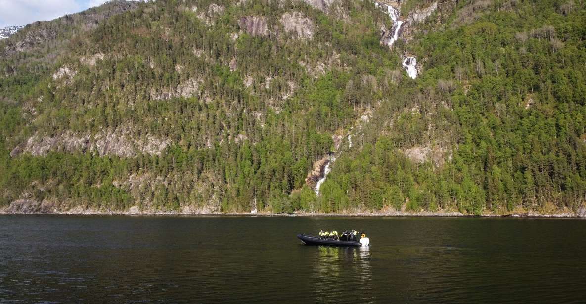 Ulvik Fjord Cruise: Scenic RIB Adventure to Osafjord - About the Cruise