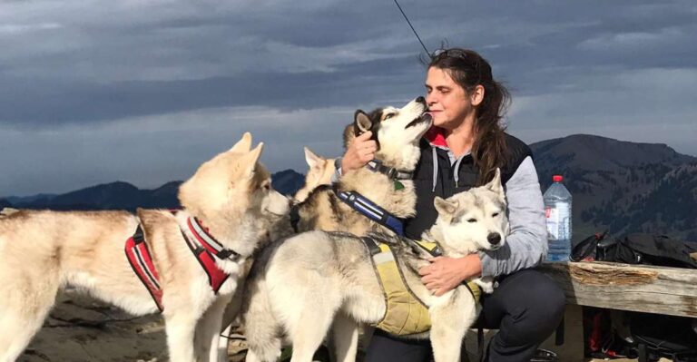 Unterallgäu: Wiedergeltingen Guided Hike With Huskies Activity Duration And Group Size