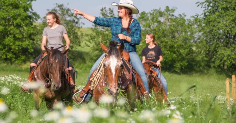 Upper Austria: Landscape, Forests, Meadows Explore The Lush Landscapes